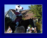 [Click to enlarge image]