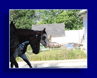 [Click to enlarge image]