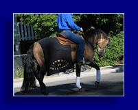 [Click to enlarge image]