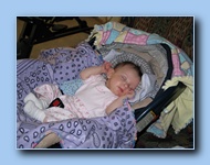 [Click to enlarge image]