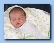 [Click to enlarge image]