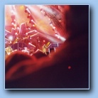 [Click to enlarge image]